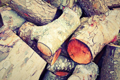 Stocks Green wood burning boiler costs